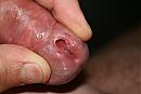 eikel, foto 3888x2592, 0 reacties, 2 stemmen