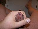 en weer terug op stalling, foto 2592x1944, 1 reacties, 0 stemmen