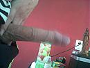 en, foto 1600x1200, 0 reacties, 0 stemmen