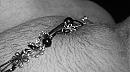 first time, foto 2377x1305, 3 reacties, 19 stemmen
