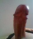 flesh01, foto 733x873, 0 reacties, 3 stemmen