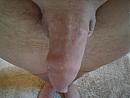 geen idee, foto 640x480, 3 reacties, 6 stemmen