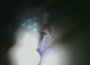 geil met dildo, film 00:00:00, 8 reacties, 41 stemmen