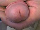 geil, foto 640x480, 1 reacties, 3 stemmen