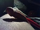 geile spuiter, foto 2048x1536, 0 reacties, 2 stemmen