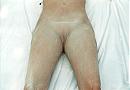 gepoederd, foto 1168x800, 2 reacties, 24 stemmen