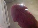 glimmende close up, foto 2048x1536, 0 reacties, 1 stemmen