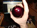groot genoeg, foto 640x480, 0 reacties, 11 stemmen