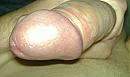 hallo, foto 1967x1163, 1 reacties, 1 stemmen