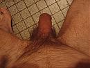 harig, foto 640x480, 0 reacties, 0 stemmen