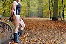 herfstkleuren3, foto 1024x680, 0 reacties, 2 stemmen