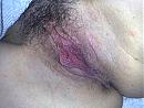 het geile kutje van mn ex..., foto 2592x1944, 0 reacties, 3 stemmen