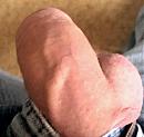hij wil ontsnappen, foto 800x753, 2 reacties, 7 stemmen