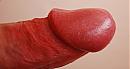 hmmm, foto 862x454, 1 reacties, 0 stemmen