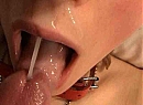 hoi, foto 500x365, 5 reacties, 23 stemmen