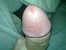 hoi, foto 2048x1536, 0 reacties, 2 stemmen