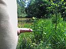 in de buitenlucht, foto 320x240, 1 reacties, 1 stemmen