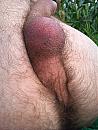 in het mais, foto 2448x3264, 0 reacties, 5 stemmen