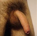 in slappe toestand, foto 717x690, 3 reacties, 6 stemmen