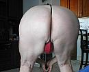 intimo, foto 892x720, 0 reacties, 1 stemmen