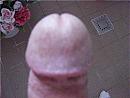 koppie, foto 639x480, 0 reacties, 0 stemmen
