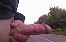langs de A73, foto 2048x1280, 0 reacties, 4 stemmen