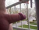 lekker op het balkon, foto 1184x888, 0 reacties, 4 stemmen