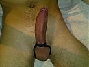 lekker stijf, foto 2592x1944, 1 reacties, 4 stemmen