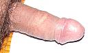 lekker toch, foto 731x435, 1 reacties, 4 stemmen