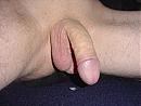 lekker ??, foto 2592x1944, 9 reacties, 14 stemmen