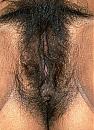 liefhebbers, foto 382x533, 1 reacties, 7 stemmen