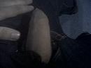 lul stukje uit de broek, foto 1600x1200, 0 reacties, 1 stemmen
