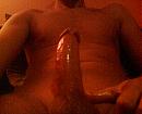 me nasty, foto 600x480, 2 reacties, 11 stemmen