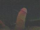 me pik, foto 640x480, 0 reacties, 1 stemmen