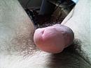 mijn Lul, foto 3264x2448, 0 reacties, 1 stemmen