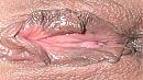 mijn kutje closeup, foto 1597x885, 3 reacties, 19 stemmen