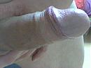 mijn pik, foto 320x240, 1 reacties, 2 stemmen