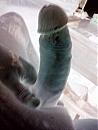 mmmmmm, foto 1200x1600, 0 reacties, 0 stemmen