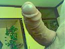 mmmmmmm, foto 320x240, 0 reacties, 2 stemmen
