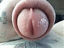 mmmmmmmmmmmm, foto 1600x1200, 0 reacties, 0 stemmen