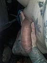 mmmmmmmmmmmm, foto 1200x1600, 1 reacties, 1 stemmen