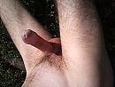 mn pik, foto 3264x2448, 1 reacties, 4 stemmen