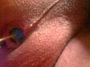 moet lul in, foto 1600x1200, 0 reacties, 2 stemmen