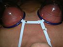 more tit, foto 2288x1712, 1 reacties, 3 stemmen