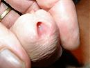 mot je wat, foto 1600x1200, 0 reacties, 3 stemmen