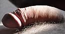 my dick, foto 4271x2258, 1 reacties, 3 stemmen