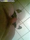 'n oudje, foto 450x600, 0 reacties, 1 stemmen