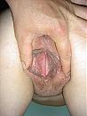 natte doos, foto 960x1280, 5 reacties, 12 stemmen