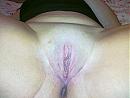 net geschoren, foto 2048x1536, 0 reacties, 1 stemmen