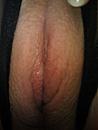 net geschoren, foto 1536x2048, 1 reacties, 3 stemmen